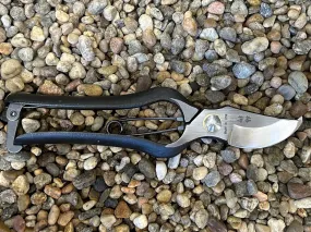 Bonsai Shears