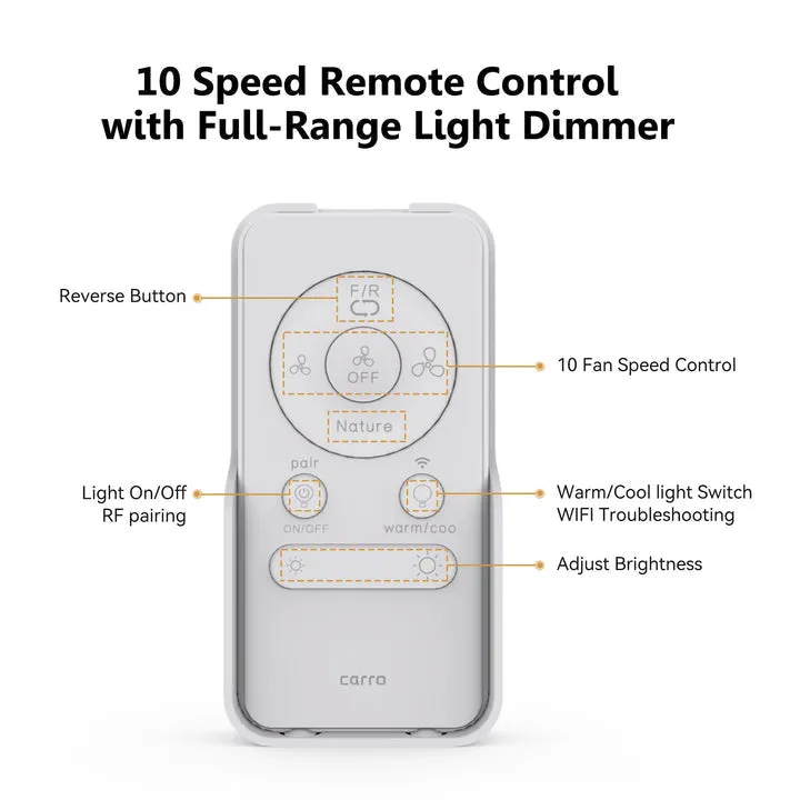 Daisy Low Profile Smart Ceiling Fan with LED Light and remote 52 inch