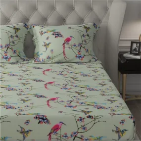 Fitted King Size Cotton Bedsheet - Sparrow Mint Green