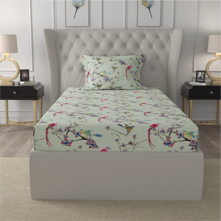 Fitted King Size Cotton Bedsheet - Sparrow Mint Green