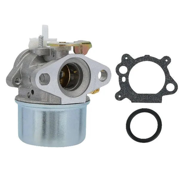 Hipa Carburetor Kit for 799869 499059 792253 497586 Briggs & Stratton Manual Choke 4-Cycle Engine Lawn Mower Cold Water Pressure Washer