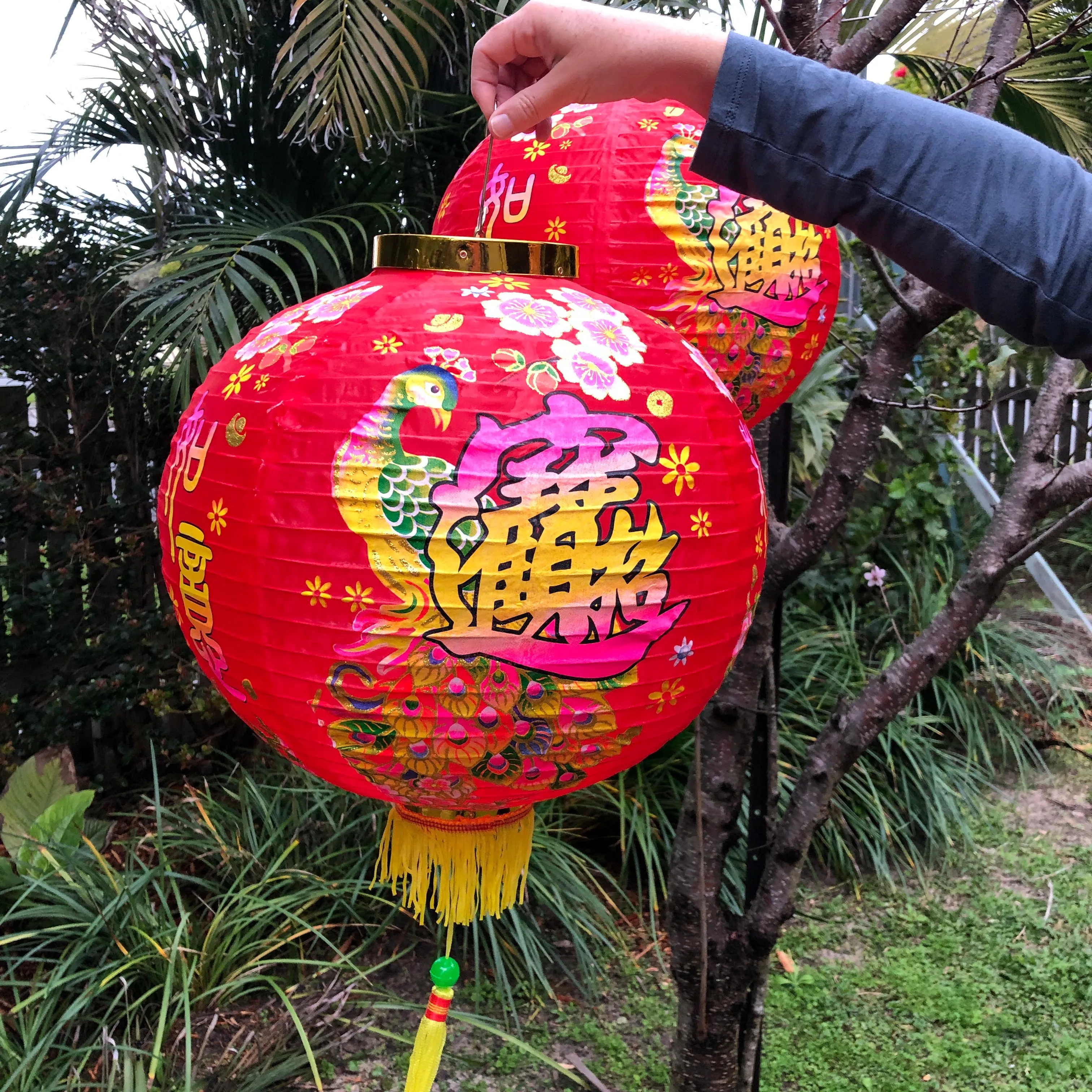 Large Chinese Peacock Lanterns (40cm) - pack 2 red nylon lanterns