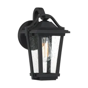 Quoizel  Darius Outdoor Lantern, Small