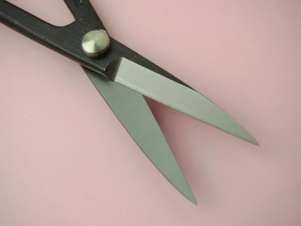 "SHIGEKATSU" Trimming Scissors for Bonsai and Cutting Twigs 210mm(abt 8.3"), Edge : Aogami Steel