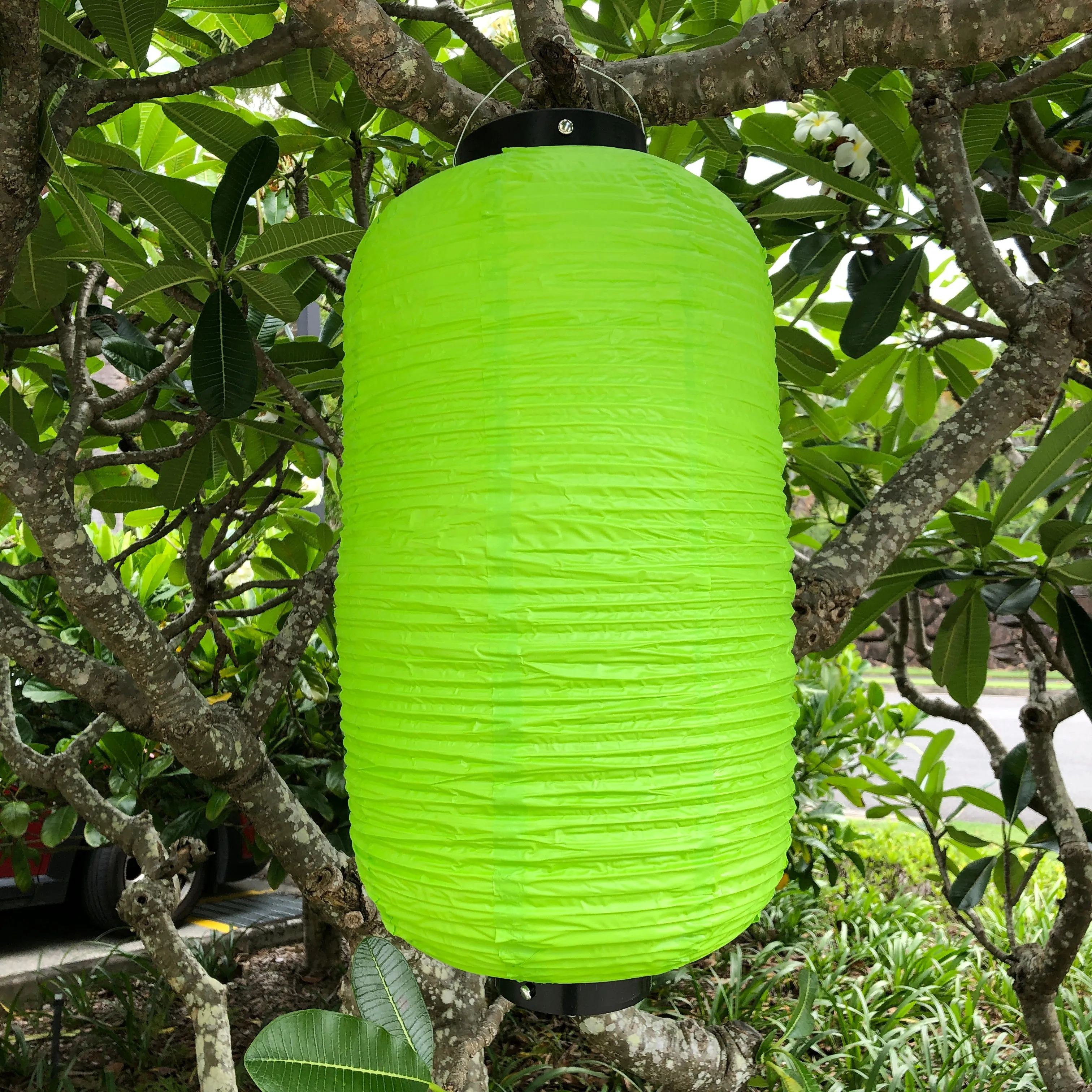 SALE - Traditional Lantern (24cm x 50cm) Vinyl