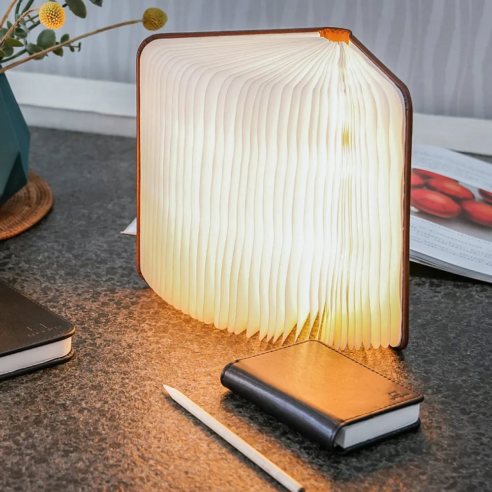 Smart Book Light