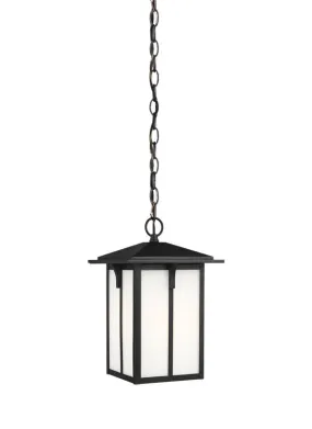 Tomek Collection - One Light Outdoor Pendant | Finish: Black - 6252701EN3-12